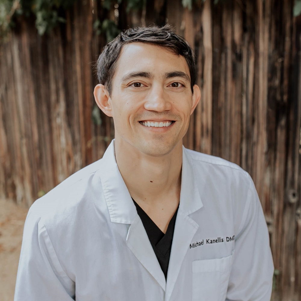 Dr. Michael Eldan Kanellis DMD, Dentist