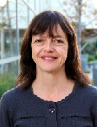 Dr. Claudia Rose Borzutzky MD, Adolescent Specialist