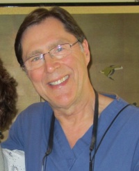 Dr. Steve D. Austin DDS, Dentist