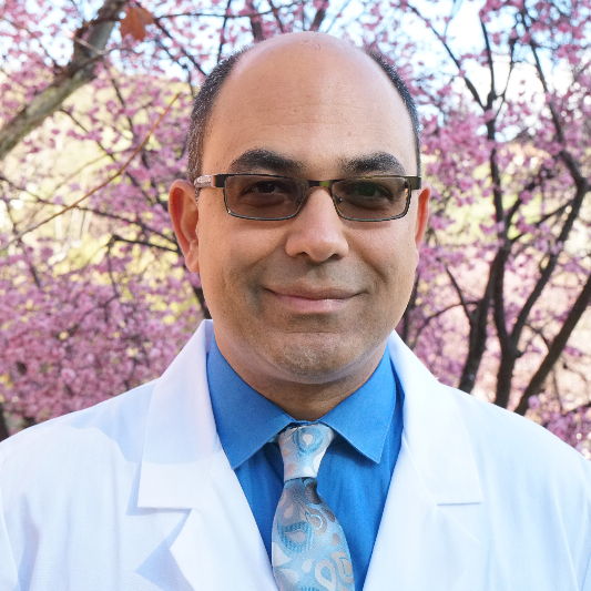Dr. Arastou  Aminzadeh M.D.