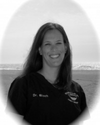 Dr. Jennifer Beth Bloch DMD, Dentist