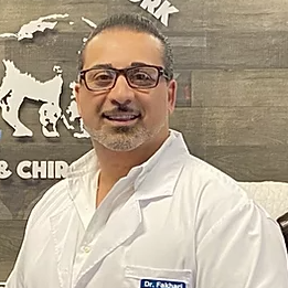 Dr. Dr. Alexi Fakhari, DC, Chiropractor