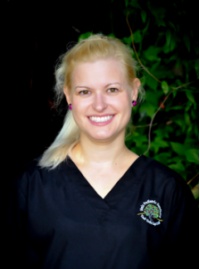 Dr. Holly M Meise DDS