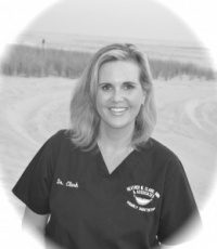 Heather M Clark D.M.D., Dentist