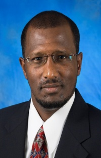 Dr. Ibrahim A Sultan-ali MD
