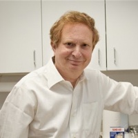 Dr. Morris  Westfried MD