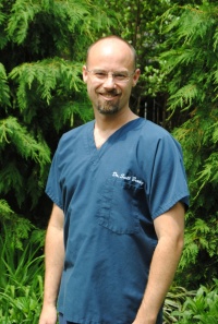 Dr. Scott E Brady D.M.D., Dentist
