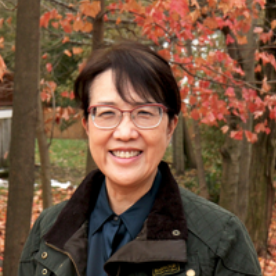 Dr. Xin  Jenny Wang D.M.D