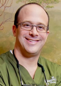 Joshua Paul Weintraub DDS, Dentist