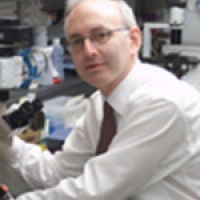 Dr. Stephen D Nimer MD, Internist