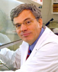 Dr. Staley A Brod M.D., Neurologist