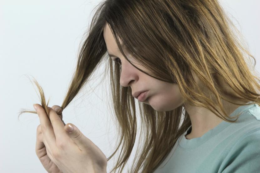 How Should I Choose a Shampoo?