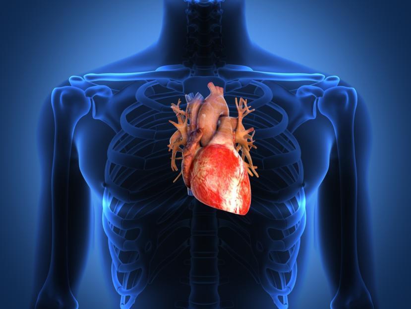 Can Fatty Fish Reduce Your Risk of Heart Disease?