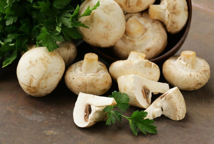 The Anti-Aging Properties of Mushrooms May Help Parkinson's and Alzheimer's Patients