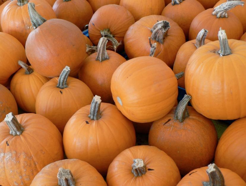 What are the Health Benefits of the Consumption of Pumpkins?