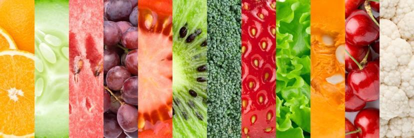 What is the Caveman Diet?
