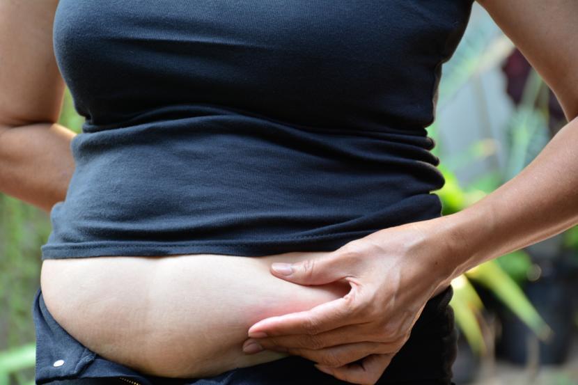 What Is Visceral Fat?