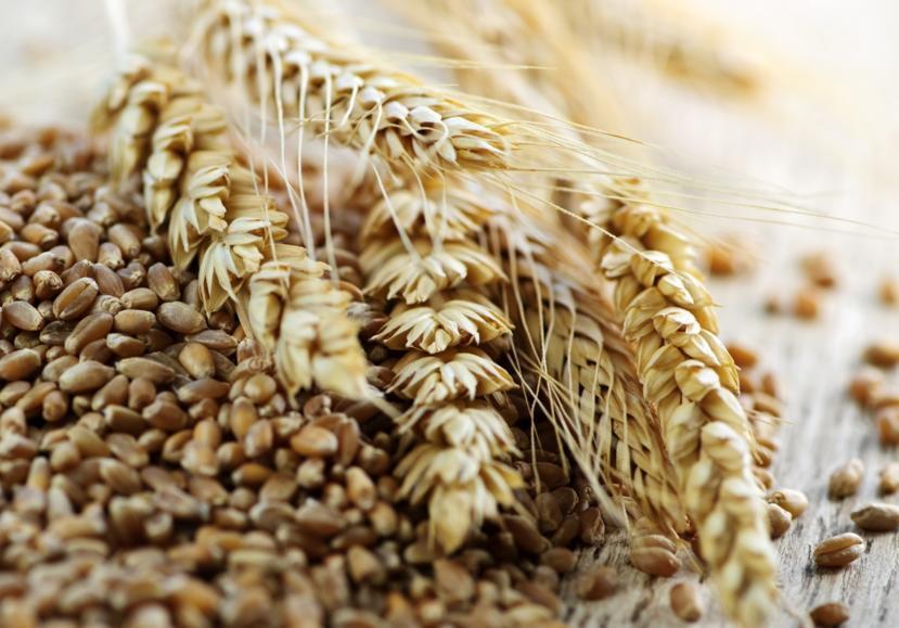 Why Are Whole Grains so Important for My Health?