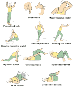 4 Easy Stretches for Pirifomis Syndrome Infographic