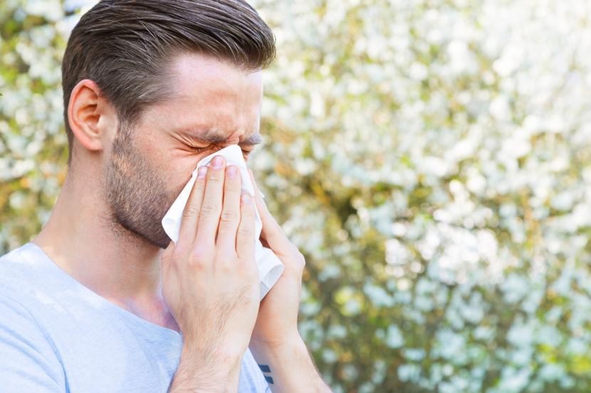 What Causes Allergies and Allergy Symptoms?