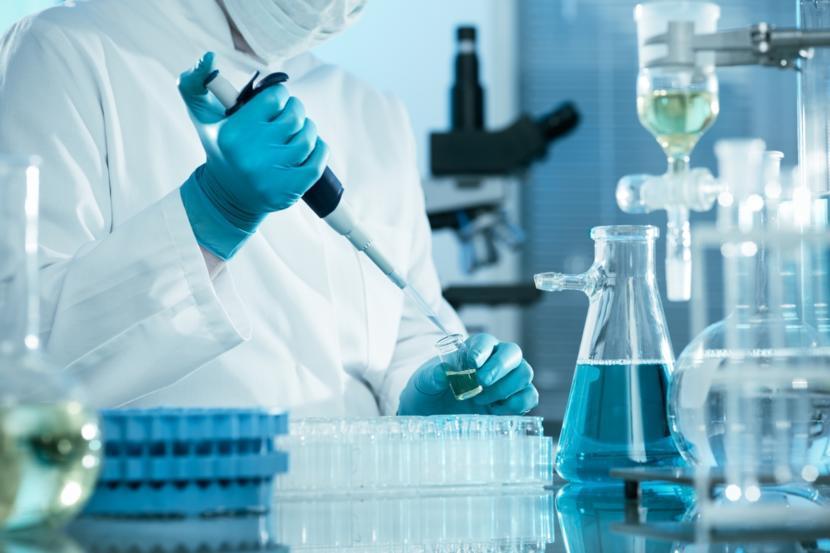 Celiac Disease Drug Market Projected to Grow Significantly