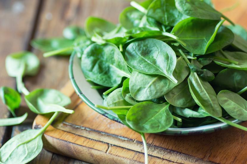 Common Antioxidant May Slow Multiple Sclerosis Progression