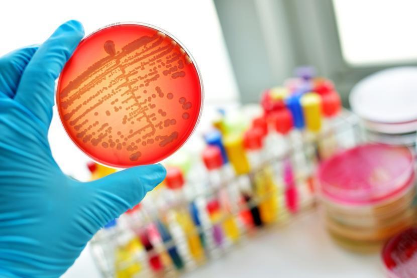 Crohn's Symptom-Intensifying Bacterium Targeted: What This Means for Treatment