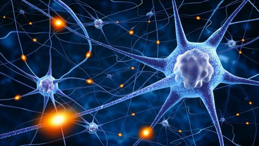 Understanding the Different Types of Diabetic Neuropathy