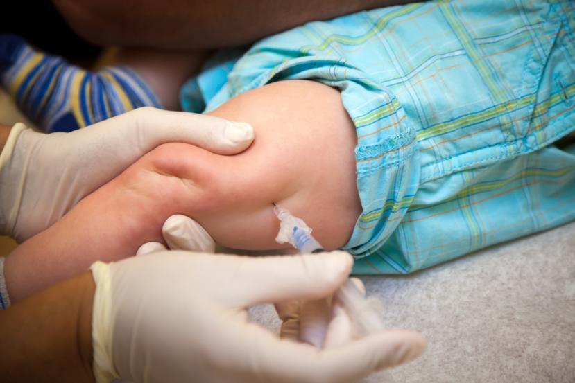 Are there any contraindications and side effects for the pertussis vaccine?