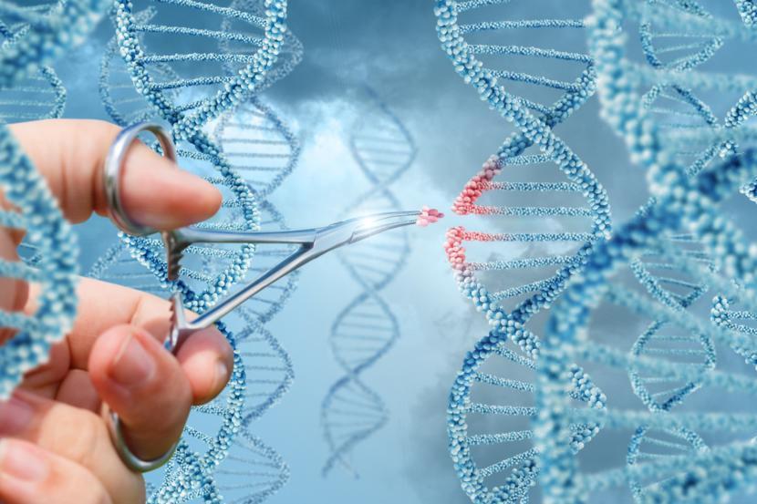 Genetic Advancements in Lymphoma Treatment