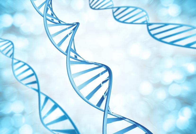 Genetic Link Found in Crohn's Disease and Ulcerative Colitis