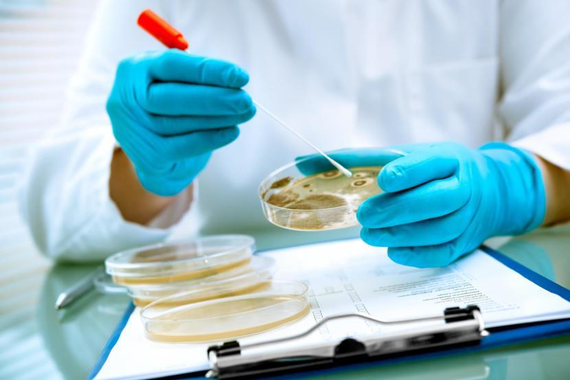How Mild Food Poisoning Could Trigger Colitis