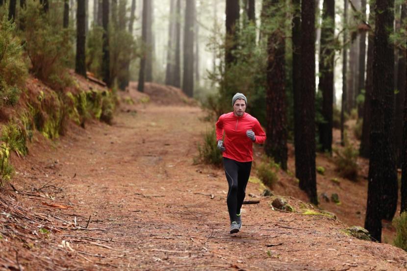 Is Lyme Disease Preventable?