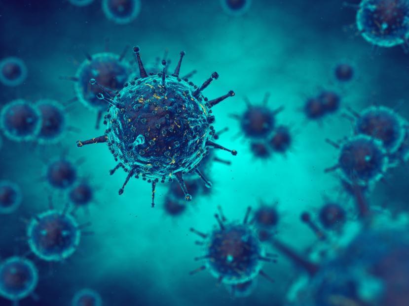 Is the Epstein-Barr Virus a Contributor to Multiple Sclerosis?