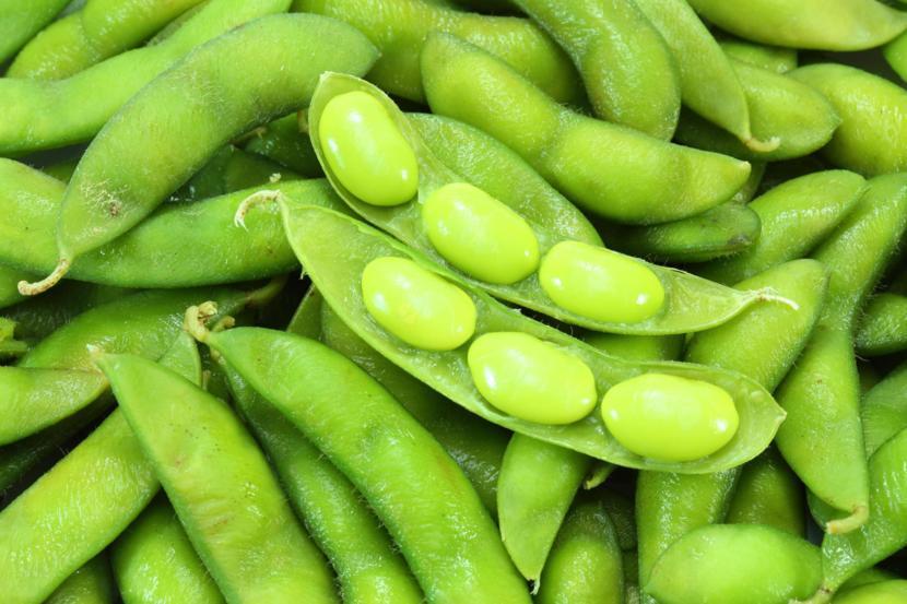 Soy Helps to Manage the Symptoms Associated with Menopause