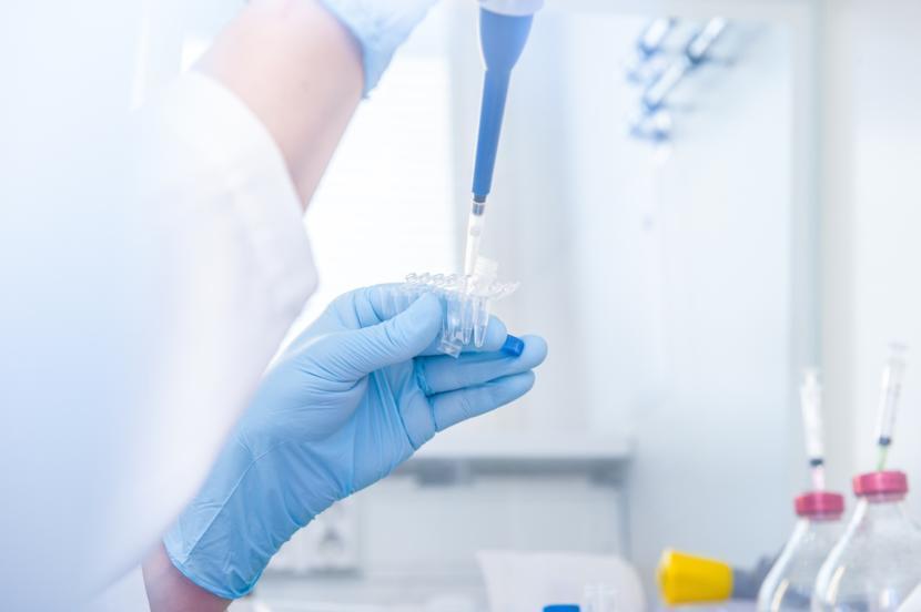 The Link Between Mononucleosis and Multiple Sclerosis