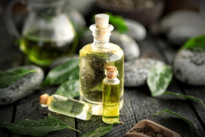 The Many Benefits of Tea Tree Oil