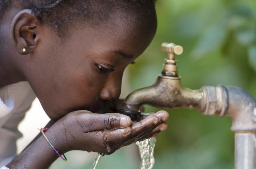 What Causes Cholera?