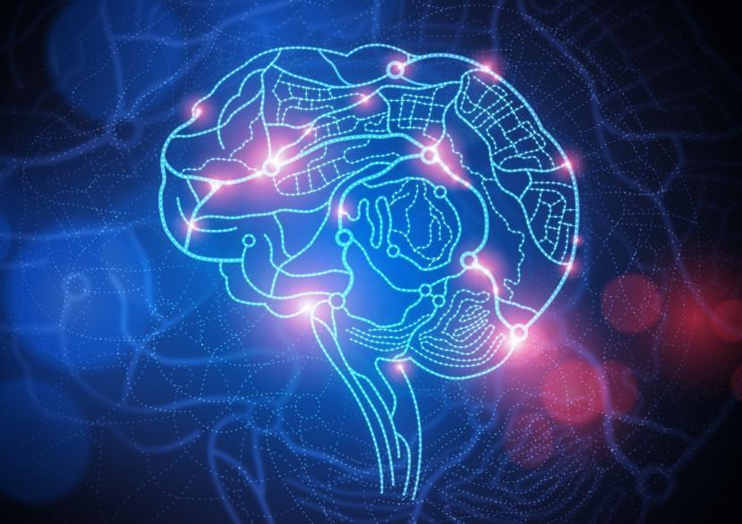 What Is Lumosity?
