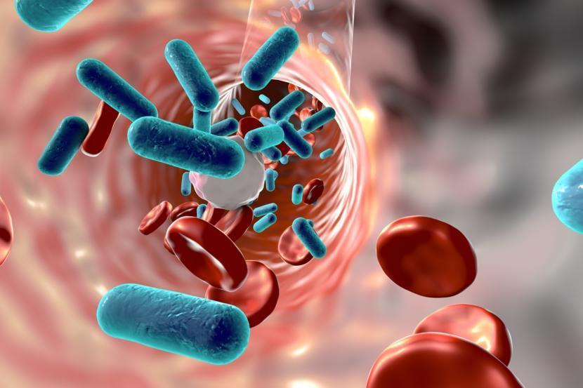 What Tests Determine Multiple Myeloma?
