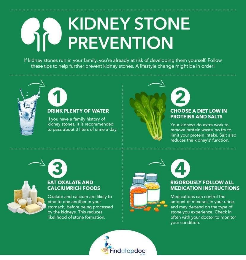 Image result for What Leads to Kidney Stones? infographics