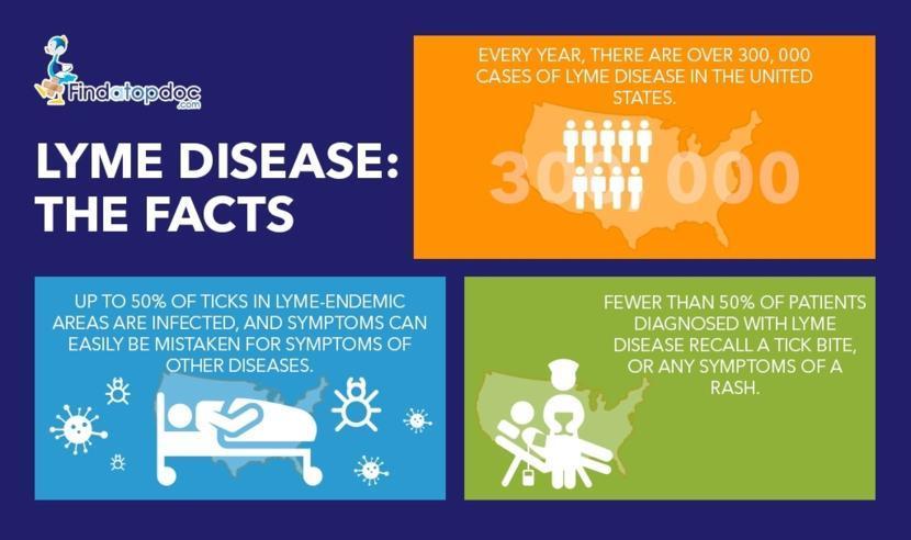 Image result for Beat Lyme Disease: Early Signs & Care infographics