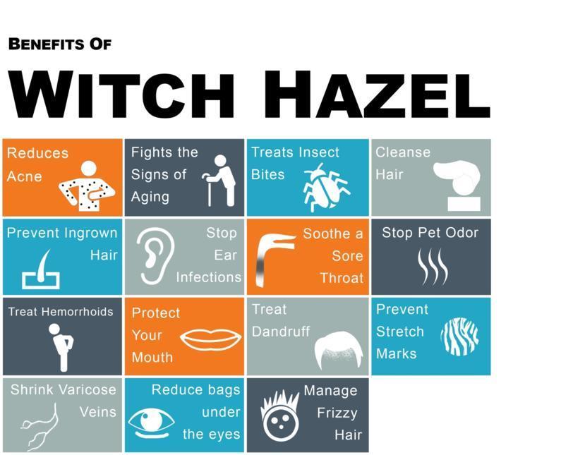 What Is Witch Hazel All About The Benefits Of Witch Hazel