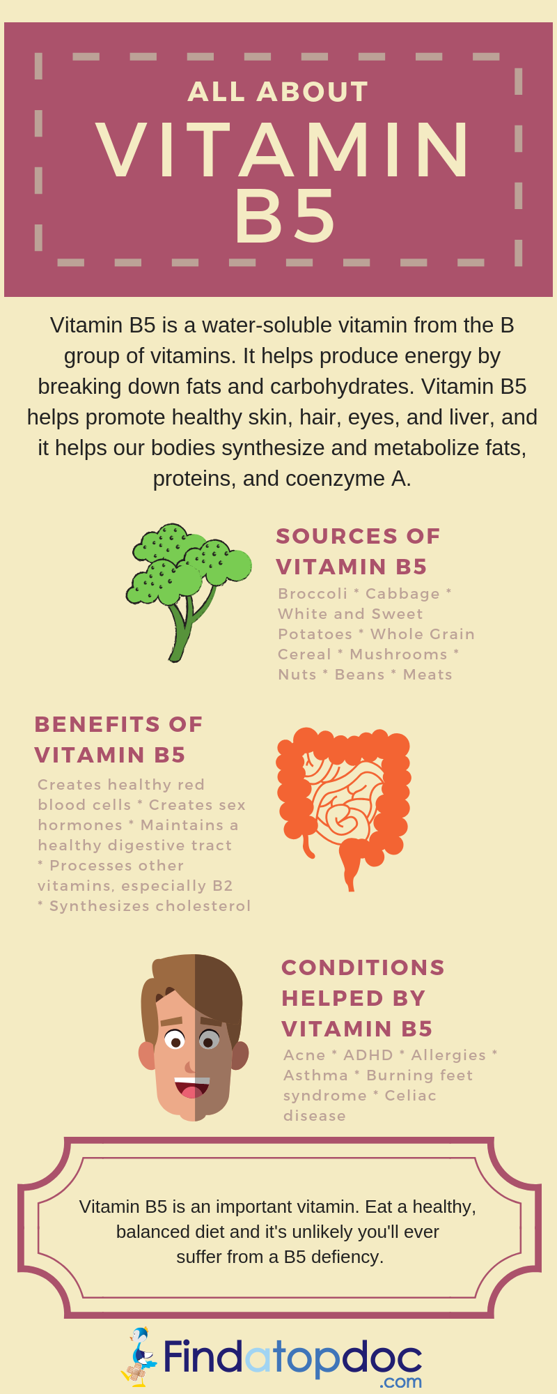 All About Vitamin B5 And Why We Need It