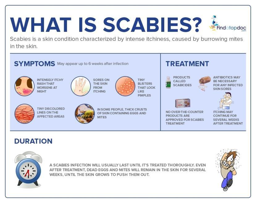 Scabies: Symptoms, Causes, Treatment, and Diagnosis