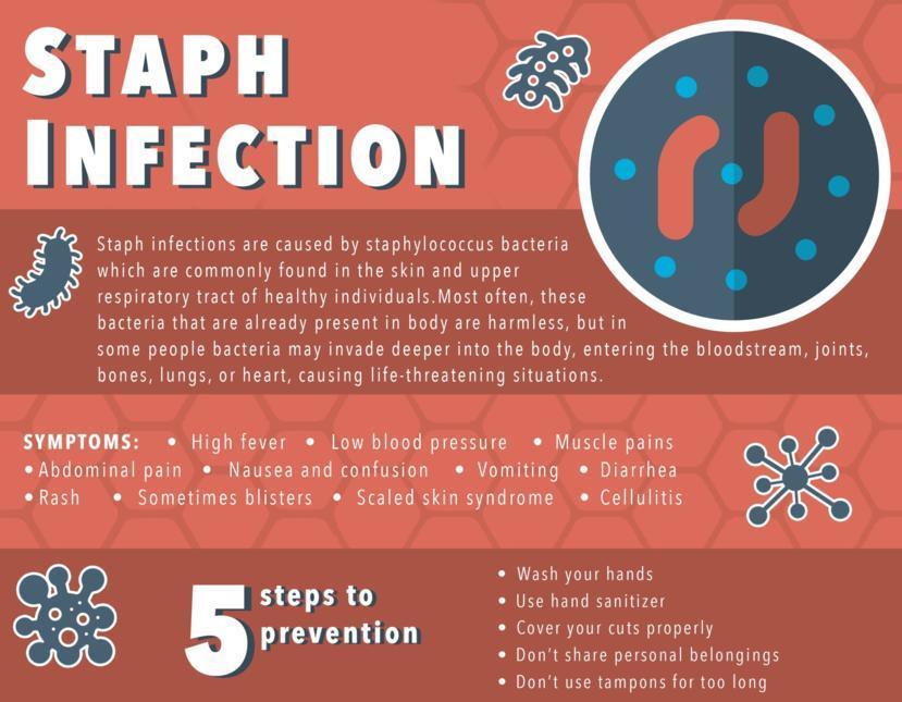 Staph Infection: Symptoms, Diagnosis, Treatment, and More