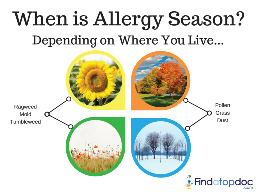 When Is Allergy Season? How to Protect Yourself from Seasonal Allergies