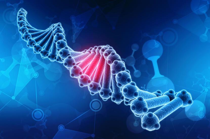 DNA: Definition, Structure & Discovery