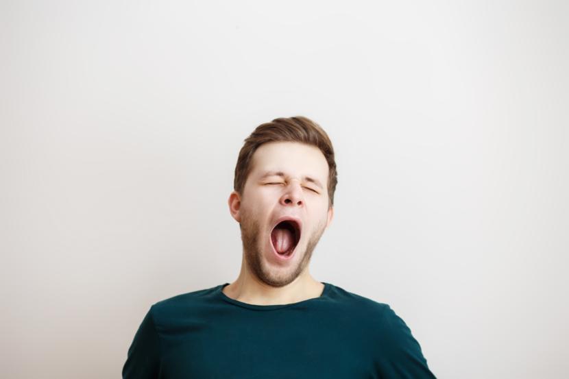 Yawning Scientific Facts: Why Do We Yawn and Is It Contagious?