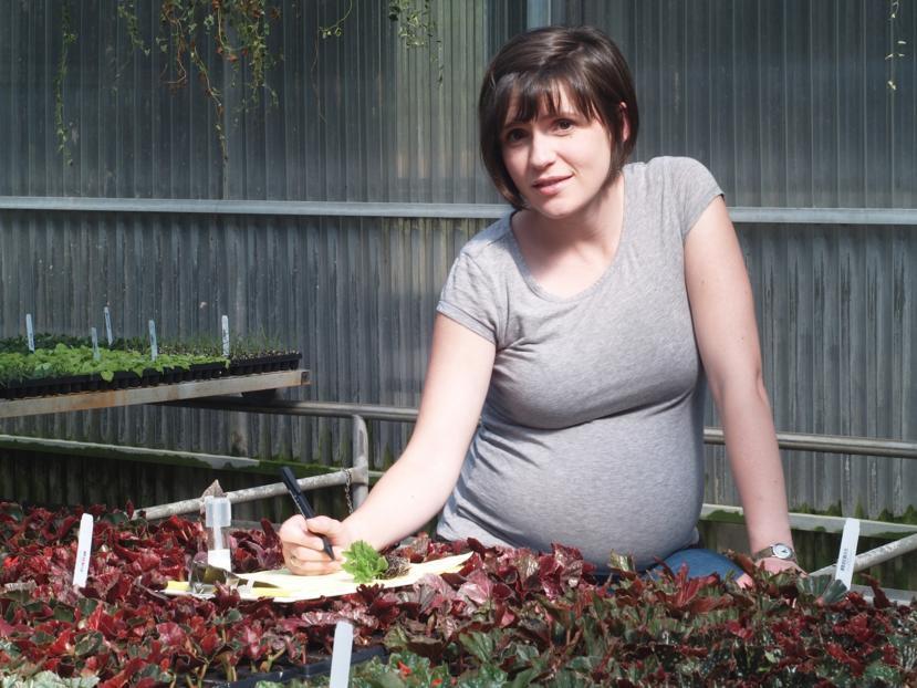 What is a High-risk Pregnancy?